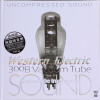 300B Vacuum Tube—Audiophile lmpressive Sound