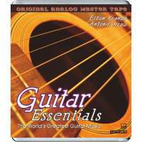 Guitar Essentials