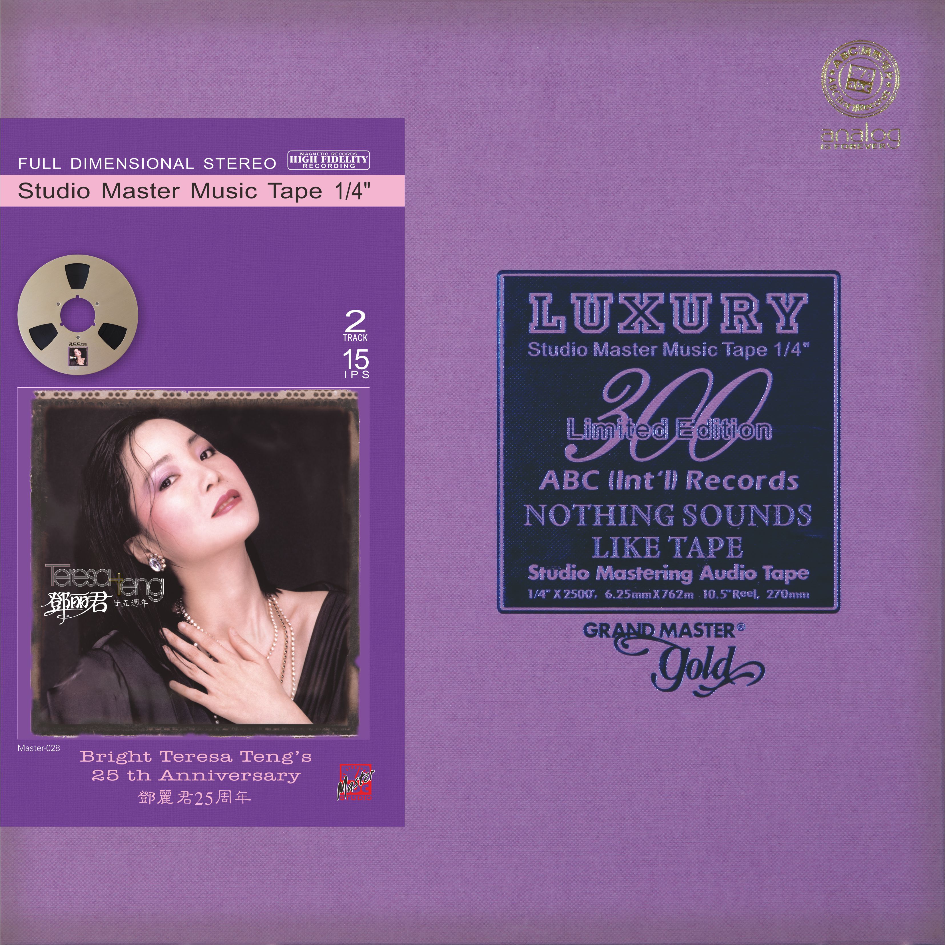 Teresa Teng’s 25th Anniversary