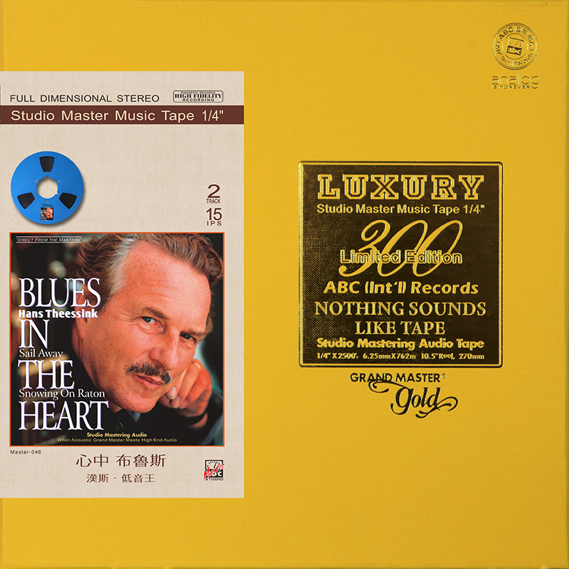 Blues in the Heart Hans Theessink